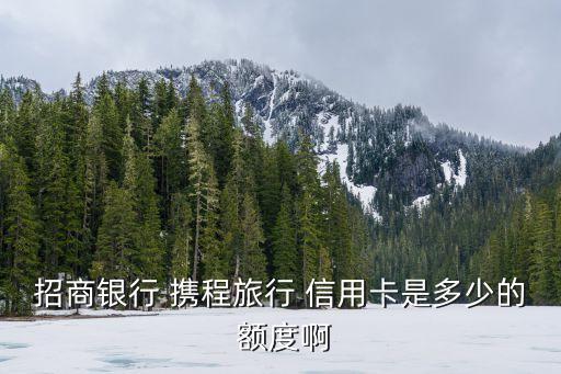 招商銀行 攜程旅行 信用卡是多少的 額度啊