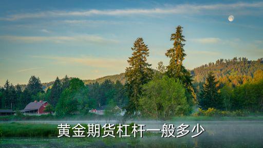 黃金期貨杠桿一般多少