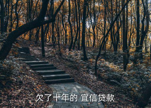 欠了十年的 宜信貸款