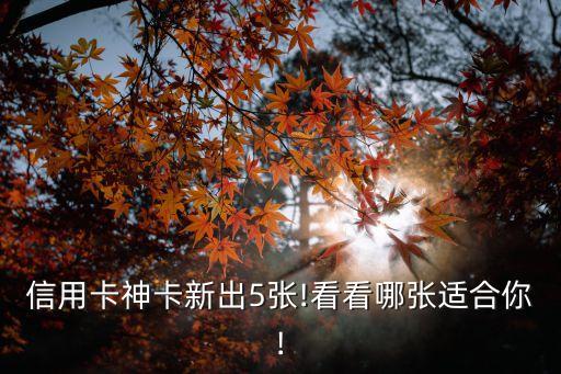 信用卡神卡新出5張!看看哪張適合你!
