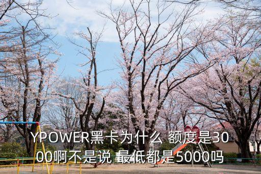 y-power最低額度是多少