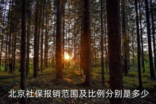 北京醫(yī)保補(bǔ)貼標(biāo)準(zhǔn)是多少錢,北京退休人員醫(yī)保補(bǔ)貼標(biāo)準(zhǔn)
