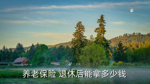 今年退休能領(lǐng)多少,深圳社保今年退休能領(lǐng)多少