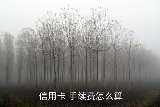 公司信用卡手續(xù)費是多少,代辦信用卡的手續(xù)費一般多少
