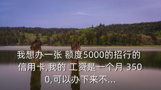 我想辦一張 額度5000的招行的 信用卡,我的 工資是一個月 3500,可以辦下來不...