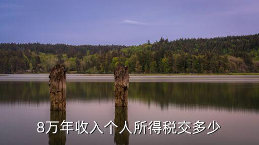 稅后工資8萬稅前多少稅,上海稅前稅后工資計(jì)算器2022