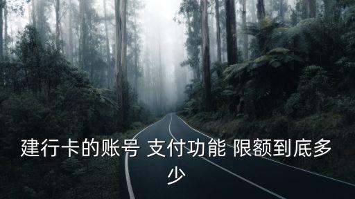 建行卡的賬號 支付功能 限額到底多少
