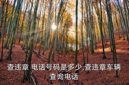 查違章 電話號(hào)碼是多少,查違章車輛查詢電話