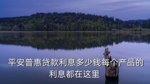 平安i貸保費(fèi)是多少錢,大地時(shí)貸保費(fèi)是多少