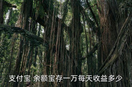 支付寶 余額寶存一萬每天收益多少
