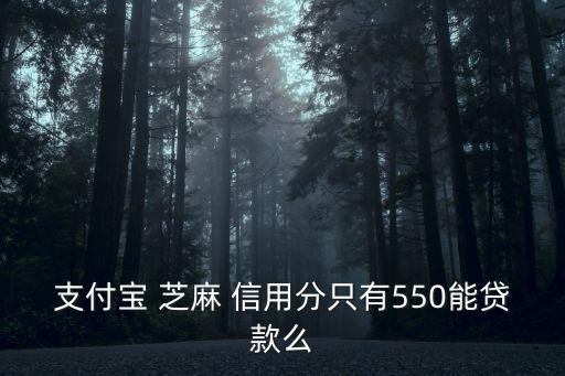 支付寶 芝麻 信用分只有550能貸款么