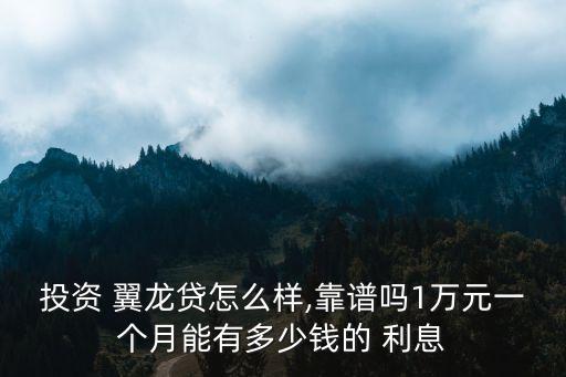 翼龍貸利息是多少