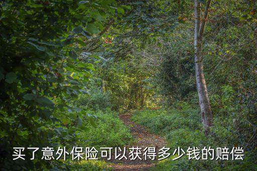 買了意外保險(xiǎn)可以獲得多少錢的賠償
