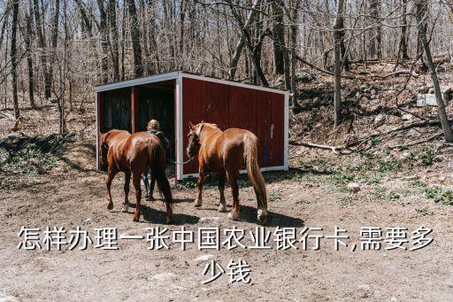 怎樣辦理一張中國(guó)農(nóng)業(yè)銀行卡,需要多少錢