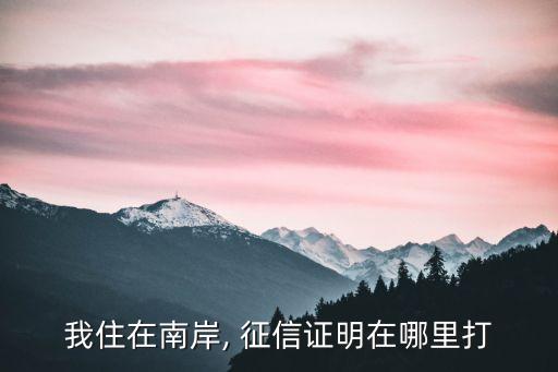 我住在南岸, 征信證明在哪里打