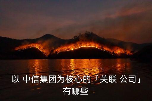 中信公司有多少子公司