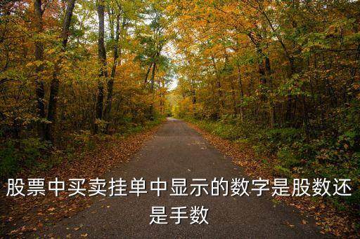 股票中買賣掛單中顯示的數(shù)字是股數(shù)還是手?jǐn)?shù)