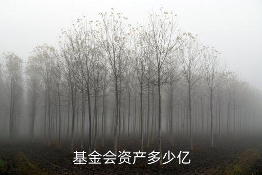  基金會(huì)資產(chǎn)多少億