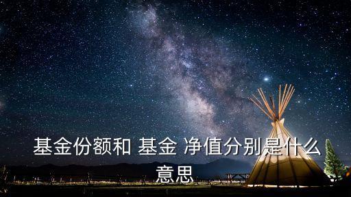  基金份額和 基金 凈值分別是什么意思