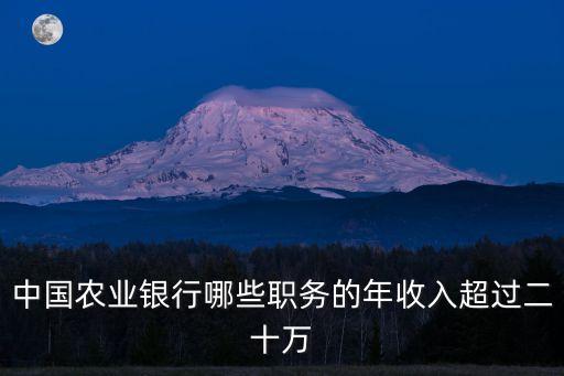 中國農(nóng)業(yè)銀行哪些職務(wù)的年收入超過二十萬