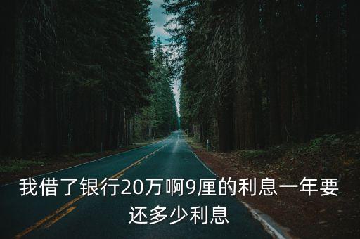 我借了銀行20萬啊9厘的利息一年要還多少利息