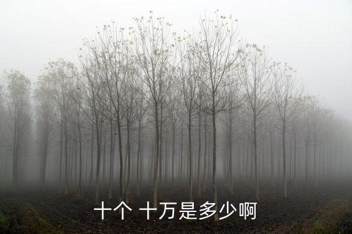 十個 十萬是多少啊