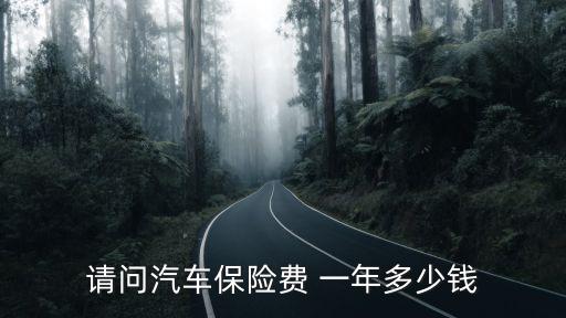 請(qǐng)問汽車保險(xiǎn)費(fèi) 一年多少錢