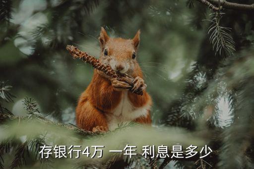 存銀行4萬 一年 利息是多少