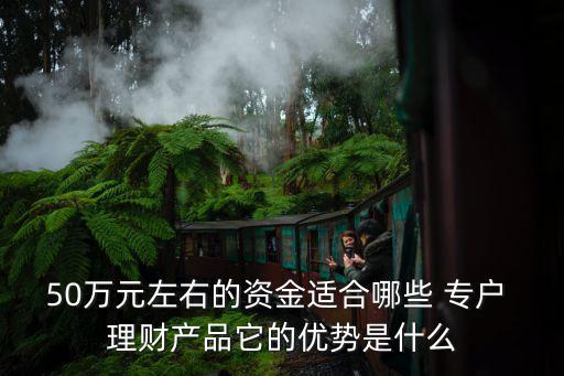 50萬(wàn)元左右的資金適合哪些 專戶 理財(cái)產(chǎn)品它的優(yōu)勢(shì)是什么