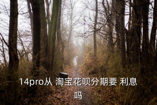 14pro從 淘寶花唄分期要 利息嗎