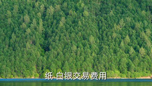 紙 白銀交易費用