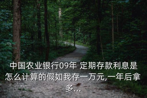 中國農(nóng)業(yè)銀行09年 定期存款利息是怎么計算的假如我存一萬元,一年后拿多...