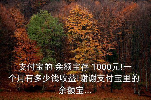 1000元放余額寶利息是多少