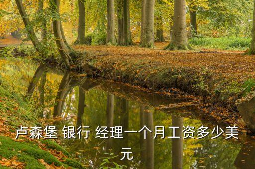盧森堡 銀行 經(jīng)理一個月工資多少美元