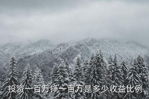  投資一百萬掙一百萬是多少收益比例