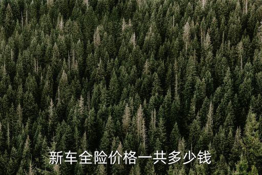 新車全險價格一共多少錢