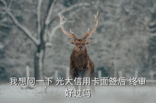 我想問一下 光大信用卡面簽后 終審好過嗎