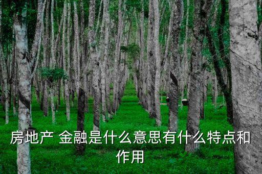 房地產(chǎn) 金融是什么意思有什么特點(diǎn)和作用