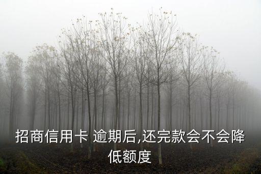 招行逾期剩下多少