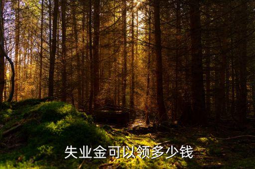 失業(yè)保險(xiǎn)領(lǐng)取多少,社保怎么申請(qǐng)失業(yè)補(bǔ)貼