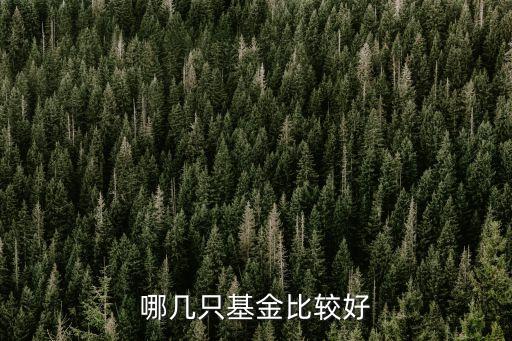 基金國投瑞銀創(chuàng)新動力今天凈值多少,國投瑞銀創(chuàng)新動力混合基金121005