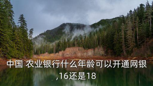 農(nóng)業(yè)銀行多少歲可以辦網(wǎng)銀