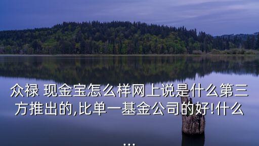 眾祿 現(xiàn)金寶怎么樣網(wǎng)上說(shuō)是什么第三方推出的,比單一基金公司的好!什么...