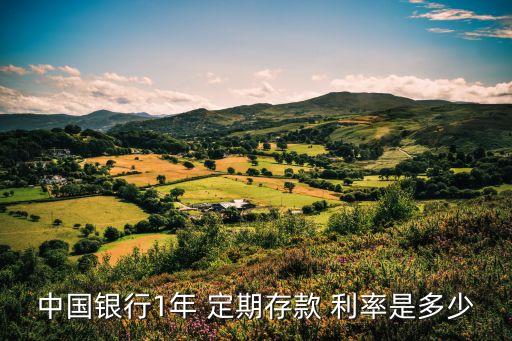 中國銀行1年 定期存款 利率是多少