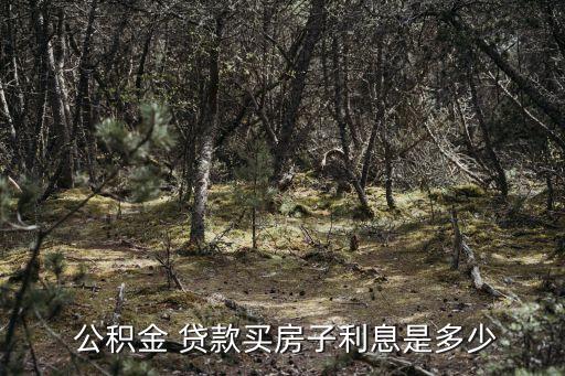  公積金 貸款買房子利息是多少