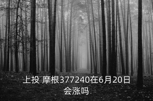 上投 摩根377240在6月20日會漲嗎