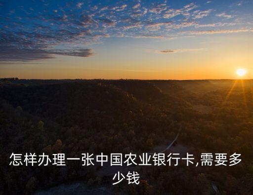 怎樣辦理一張中國(guó)農(nóng)業(yè)銀行卡,需要多少錢