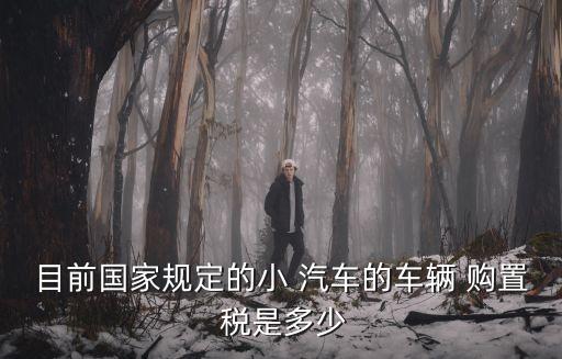 汽車購(gòu)置稅是多少,2023年汽車購(gòu)置稅是多少