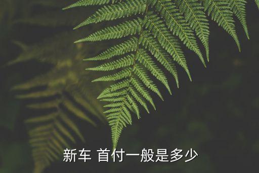  新車 首付一般是多少