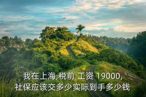我在上海,稅前 工資 19000,社保應(yīng)該交多少實(shí)際到手多少錢